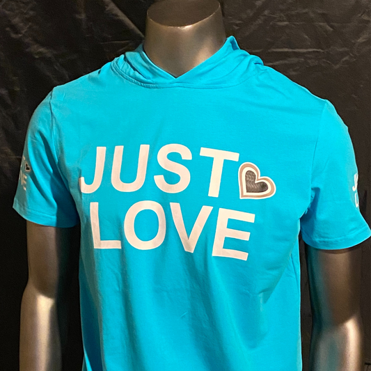 Just love hoodie (Blue)